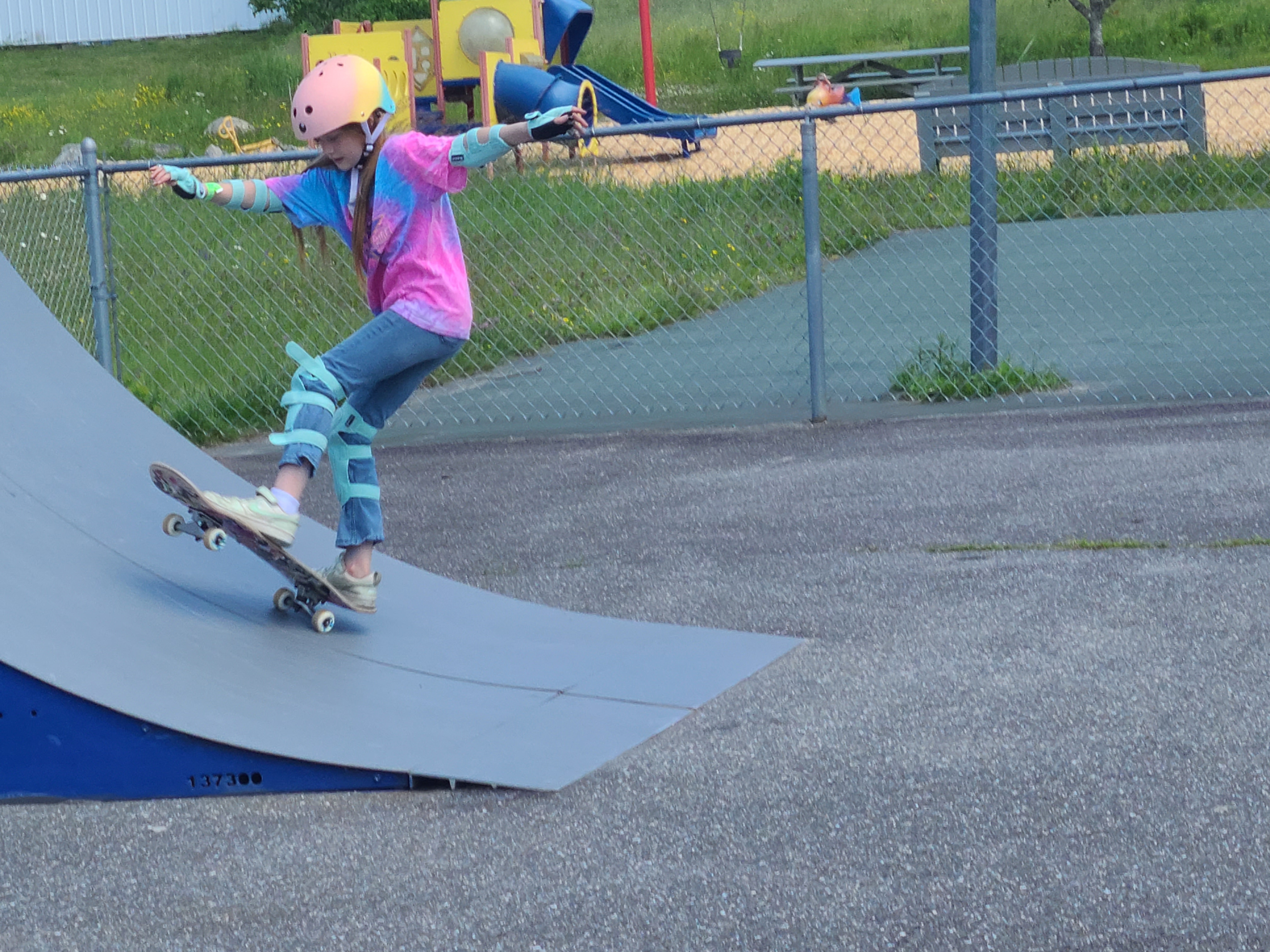 Skatepark Renovation Project
